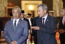 元首接见新加坡外长维文