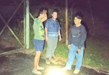 热带雨林公园里迷路 搜救队晚上救出游客