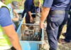 非法接驳水致沙邦加常断水 政府受促采全面措施应对