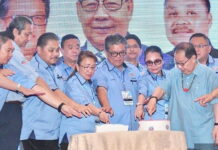 立新党重提与团结党合并 杰菲里:州选前实现