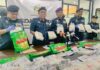 装洗衣粉盒掩人耳目市值336万沙关税局破获101公斤冰毒