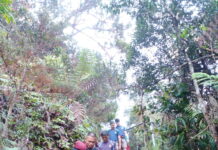 女登山客扭伤脚搜救员背下山