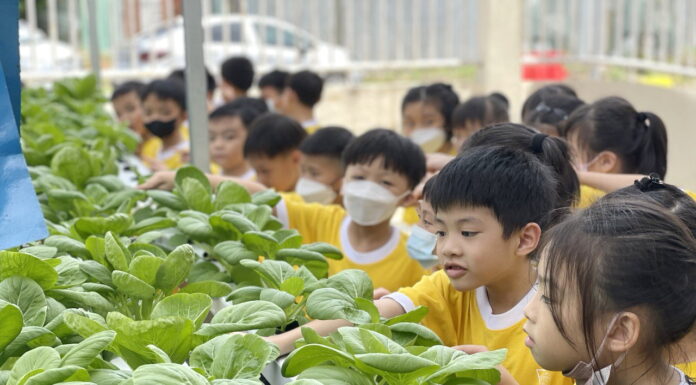 《2025 新生走透透识中华》活动兵幼逾400师生家长积极参与