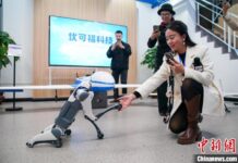 外媒关注广西南宁低空经济