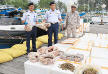 Seludup keluar makanan eksotik gagal