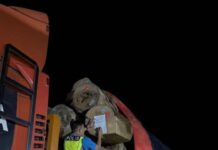 RM1.189 million worth of logs without permits seized in Ranau