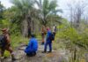 48-year-old man missing in Beluran forest, search and rescue operation underway