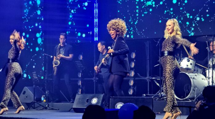 Tina Turner tribute artiste helps raise RM270K for palliative care