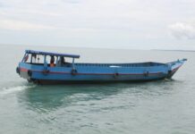 Tawau cargo bat detained for license and immigration violations