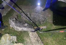 Venomous snake caught at SMK Beluran dormitory