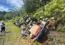 Timber truck driver killed in crash near Maliau Basin