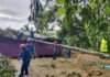 Fallen tree crashes into Sandakan house