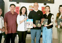 Direct KK-Haikou flight to boost homecoming visits