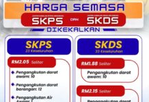 财部:政府保护福祉稳定物价 维持公交运输燃油补贴