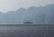 两艘大马油轮返国途中.法米:仍有5艘在霍尔木兹海峡