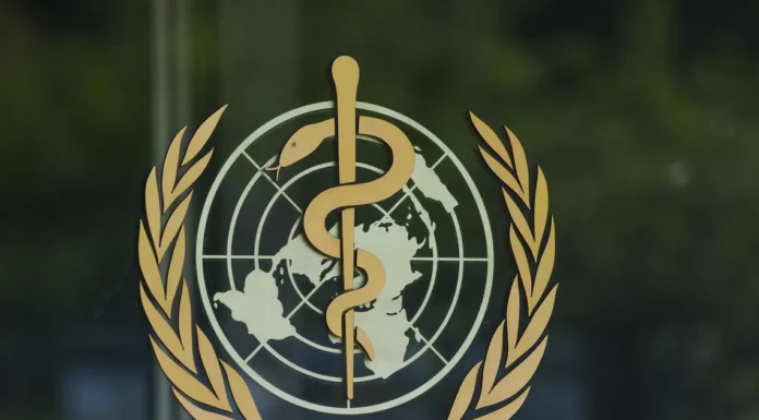 世卫:汉坦病毒出现症状时最具传染性