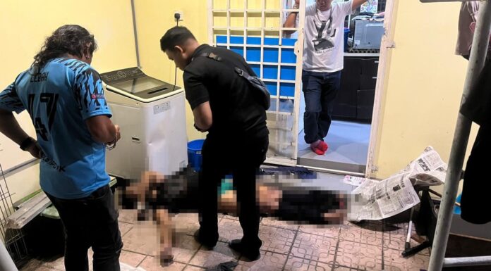 男子倒卧身亡|未发现刑事成分