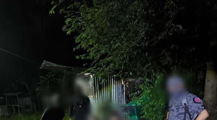 JIM tahan 𝟏𝟑𝟐 warga asing dalam operasi di tiga daerah