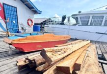 MMEA seizes sawn timber, two drug-positive suspects arrested