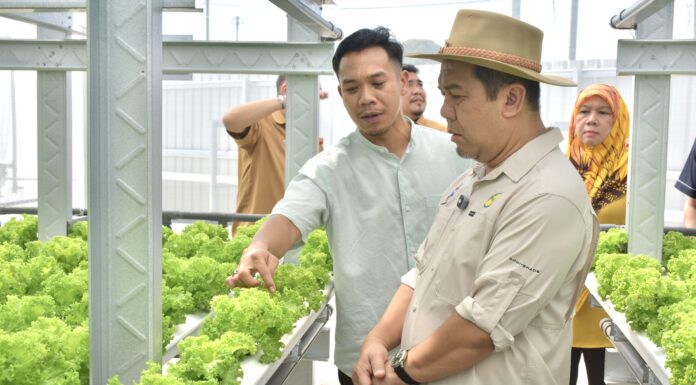 MyGAP to be expanded to local producers to enhance quality