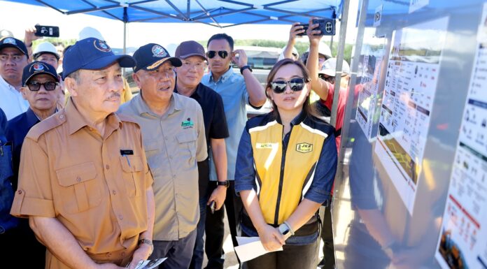 Agencies urged to coordinate Pan Borneo Highway project completion