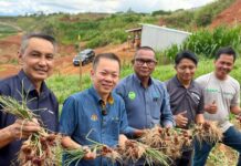 陈泓缣:昆达山种红葱有成果|符合2030年减进口30%目标