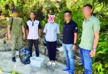 夫妻涉贩运大麻落网|罪成可判死刑或终身监禁