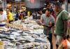 确保半岛海鲜供应充足|渔业发展局筹划从沙巴引入渔获
