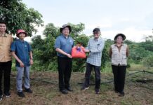 Avocado course draws over 20 participants in Sandakan