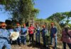 Python with 14 eggs captured in Sandakan