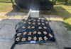 300 suspected Green Turtle eggs seized in Tuaran