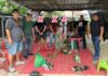 Lapan ayam sabung dirampas, tiga individu ditahan