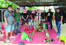 兵警破斗鸡赌博|三男子落警网