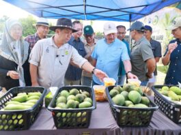 加马威:BUDI柴油补贴改善方案|料两三周后敲定