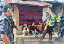 沙巴移民局多区联合执法|扣留103名非法移民