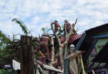 Tree falls onto house in Sandakan, three injured