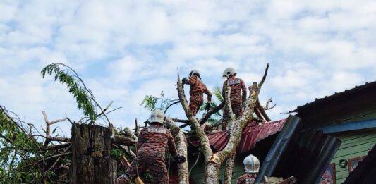 Tree falls onto house in Sandakan, three injured