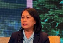 Sabah plays key role in global sea turtle conservation