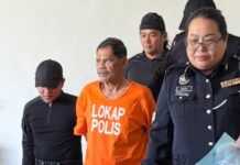 【华美园分尸案】被告未患有精神疾病