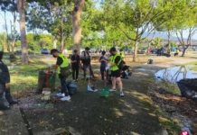 全国1万4807垃圾虫接罚单|倪可敏:548人判社区服务