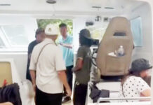 Tour guide attacked over monkey feeding advice