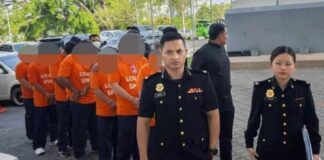 沙港口走私冷冻鸡案|反贪会逮捕7人包括4名公务员