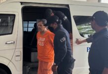 華美園駭人分屍案|老翁高庭被控謀殺