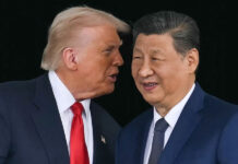 美公布习近平访问行程|涵盖私人茶叙与白宫国宴