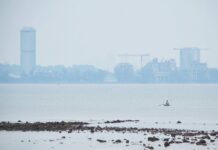 沙闽空污指数改善至中等水平|庇紫外线中午达12点极端水平