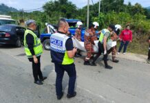 Four killed in head-on collision