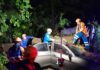 Tree crushes four vehicles in Sandakan, road crash injures four in Lahad Datu