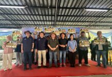 MAFFI delivers Australian beef, dairy cattle and goat breeds to farmers