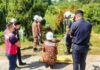 铁梯误触高压电缆|工友校门前修灯惨遭电殛