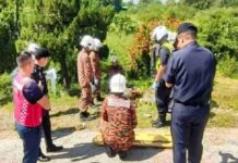 铁梯误触高压电缆|工友校门前修灯惨遭电殛